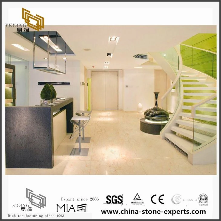 Polished Shell Beige Marble Floor