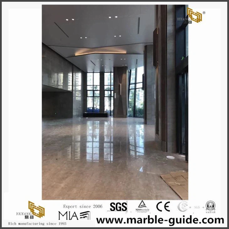 Caesar Grey Marble Slab For Hotel Lobby