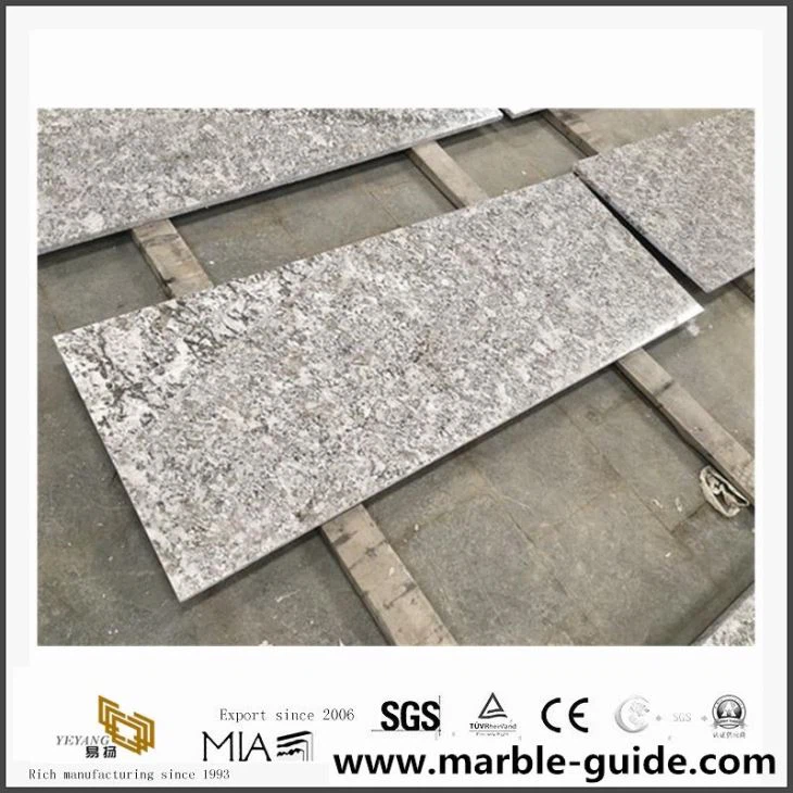China Grey White Granite Countertop