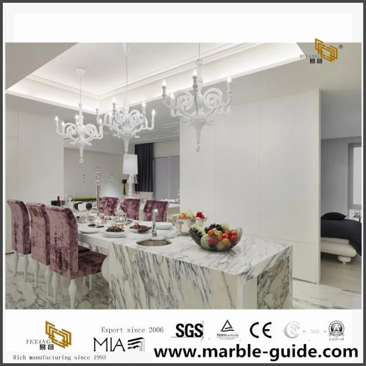 Elegant Calacatta Marble Villa Project