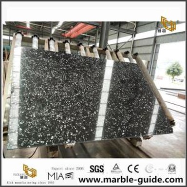 High Polished Sea Shell Marble hella