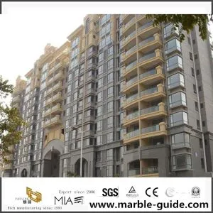 Villa Project fyrir gráu granítblátt hlébarði granítverkefni