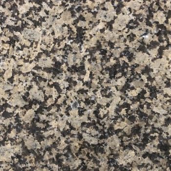 Chrysanthemum gul granítplötur sala